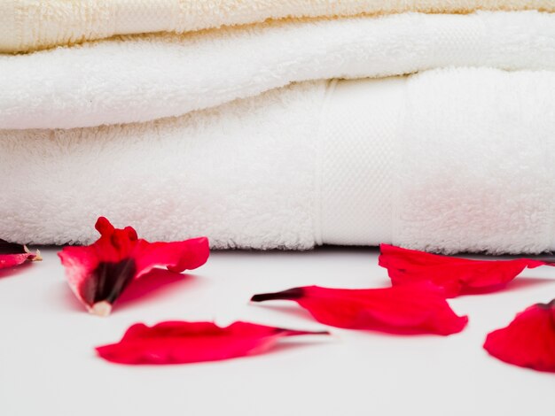 Close up petals next to towels