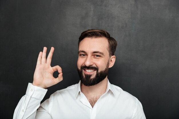 Close up photo of bearded guy smiling and gesturing with OK sign expressing good choice, being isolated over graphite