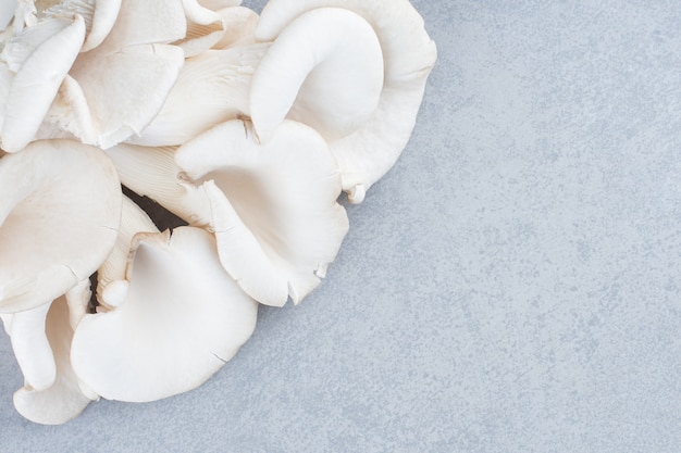 Close up photo of delicious organic oyster mushrooms . 