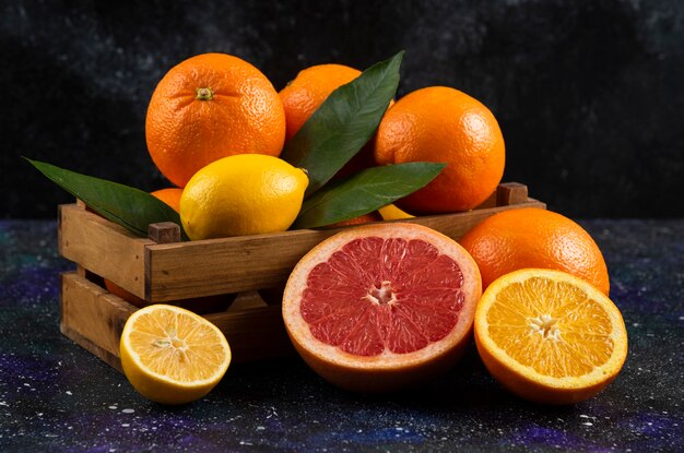 Close up photo of fresh citrus fruits whole or half cut. .