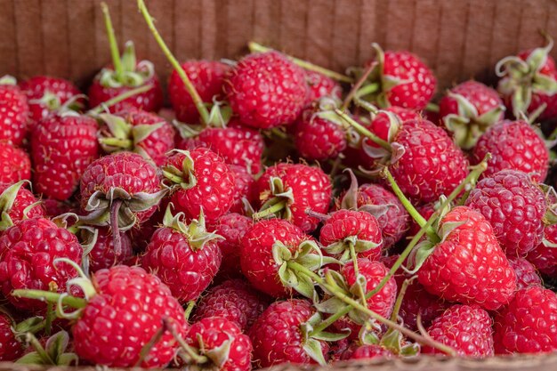Close up photo of organic raspberries in box.
