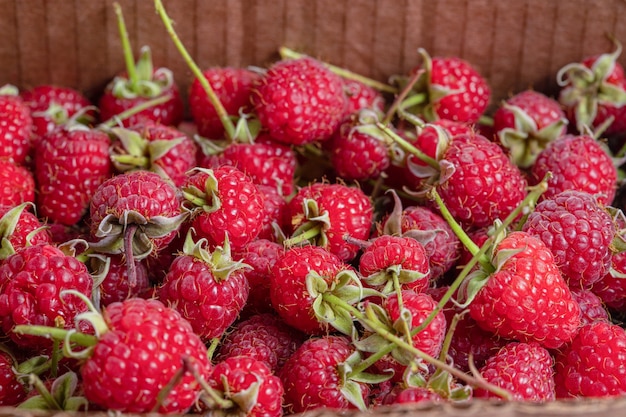 Close up photo of organic raspberries in box.