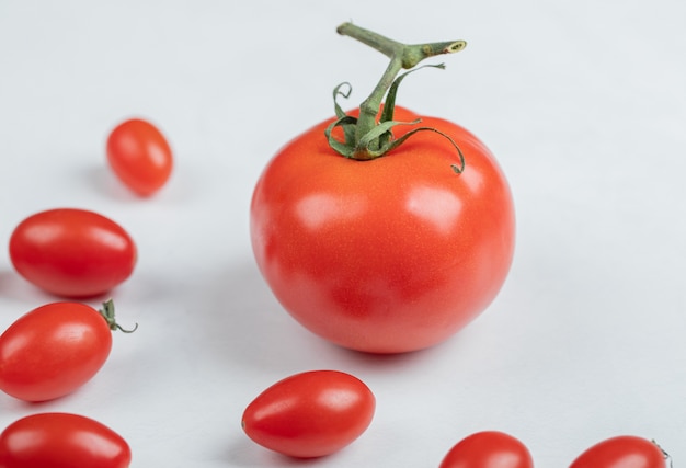 Foto gratuita primo piano foto di pomodori su sfondo bianco. foto di alta qualità