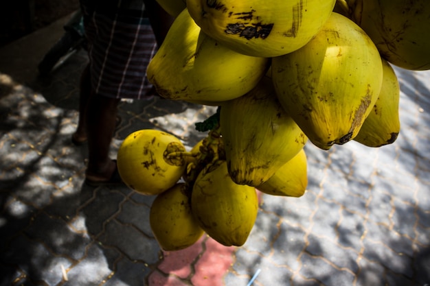 Бесплатное фото Закройте собранный кусок кокоса