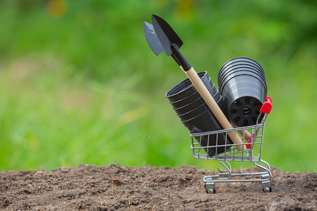 Close up picture of garden equipment put on soil