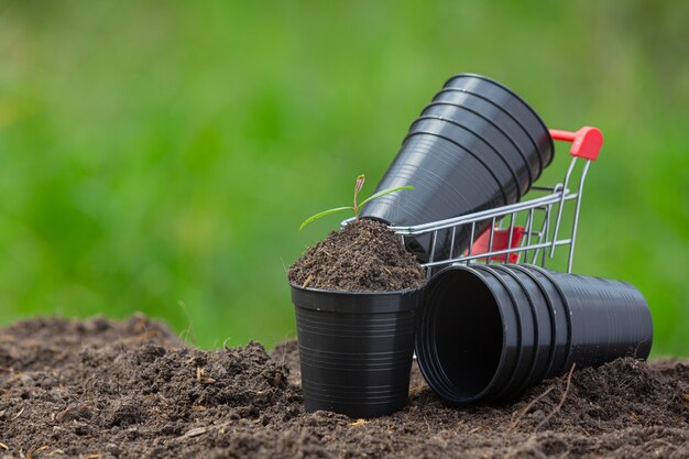 Close up picture of garden equipment put on soil