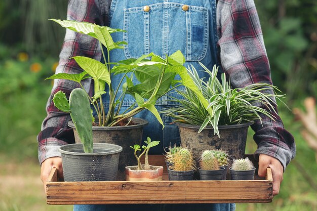 Close up picture of hand holding  wooden tray which full of pots of plants