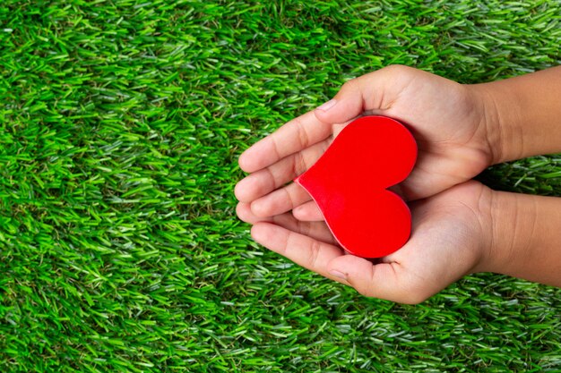 Close up picture of red heart shape in hands