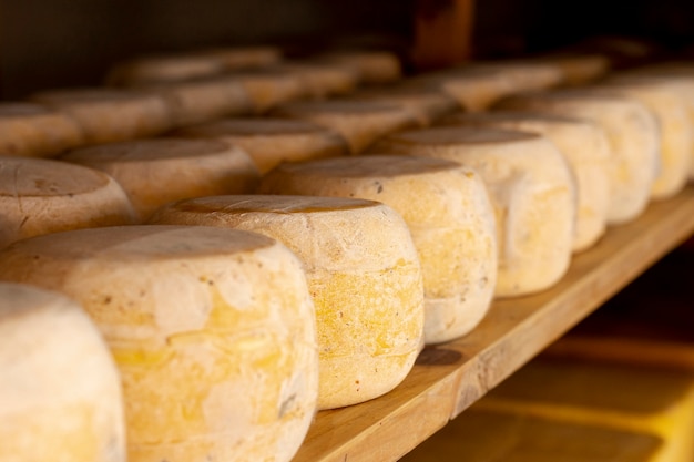 Close-up pieces of mature cheese