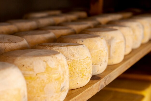close-up pieces of mature cheese