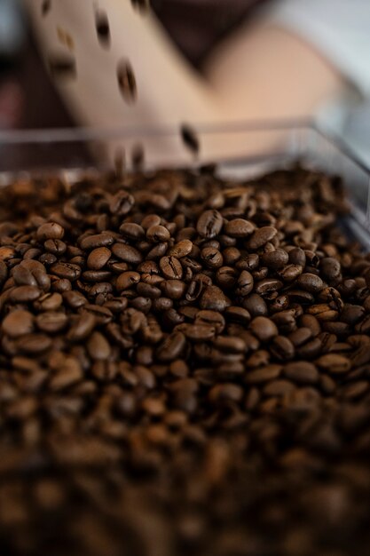 Close up on pile of coffee beans in coffee shop