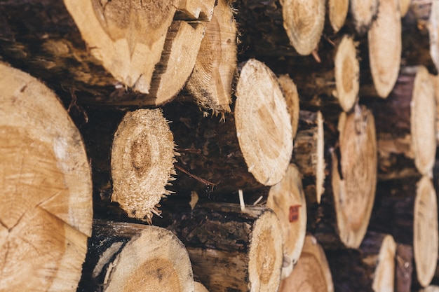 Close-up of a pile of firewood