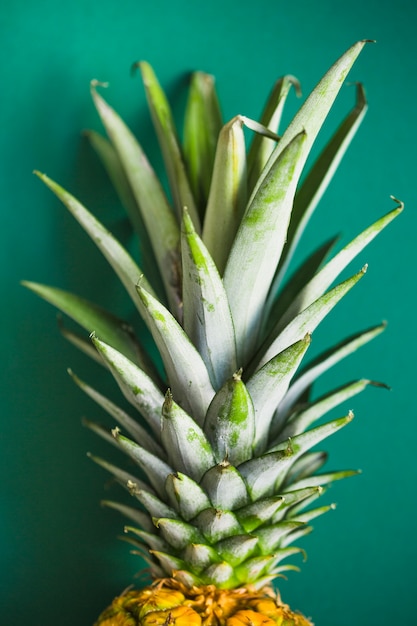 Close-up of pineapple with green leaves on colored background