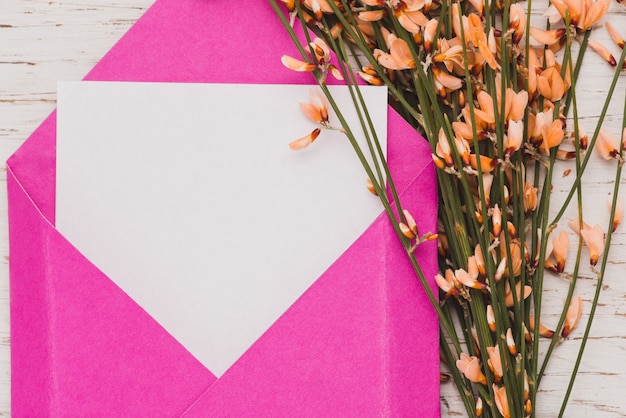 Close-up of pink envelope with blank note