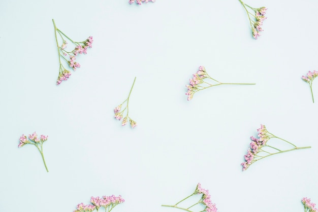 Бесплатное фото Крупным планом розовые цветы
