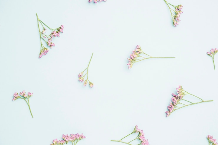 Free Photo close-up pink flowers