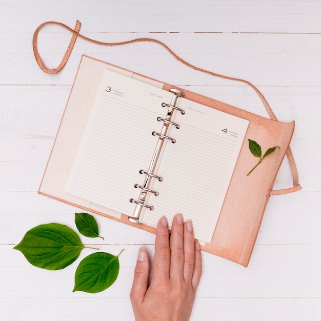 Close-up pink notebook with hand