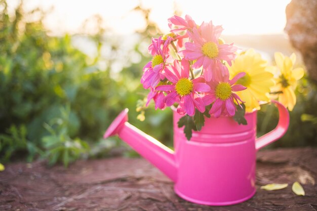 きれいな花とピンクの水まき缶のクローズアップ