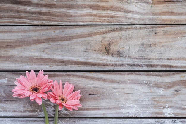 Close-up of planks with two cute flowers