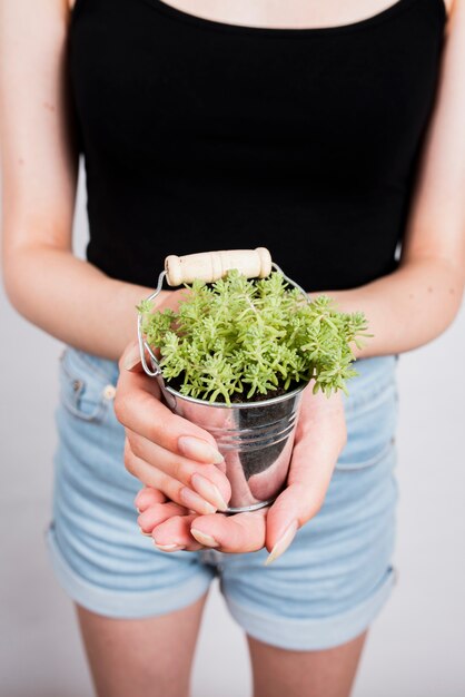 Close-up of plant in bucket