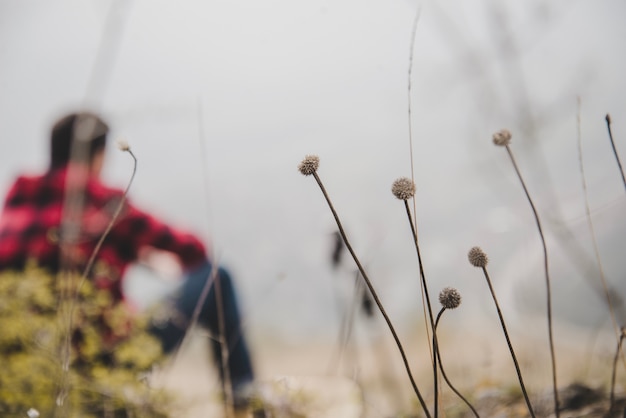 Free photo close-up of plants with blurred hiker background