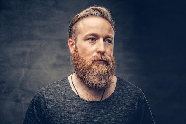 Close up portrait of blue eyed redhead full throttle bearded male over grey background.