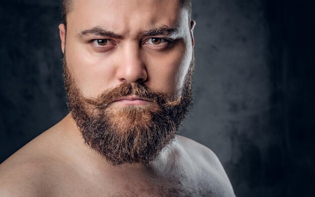 Close up portrait of shirtless beard male on grey background.