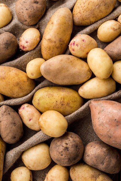 Close-up potatoes on clothing