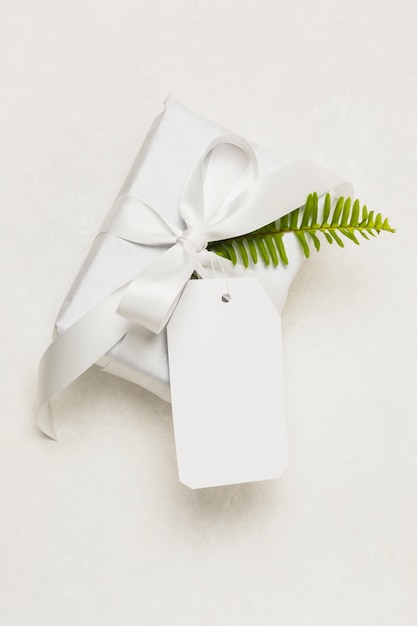 Крупный план подарочной коробки; пустой ярлык и зеленый лист изолированные на белой предпосылке