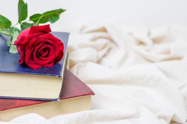 Close-up pretty red rose on a book