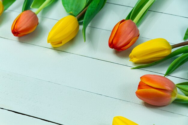 Close-up of pretty tulips on wooden surface