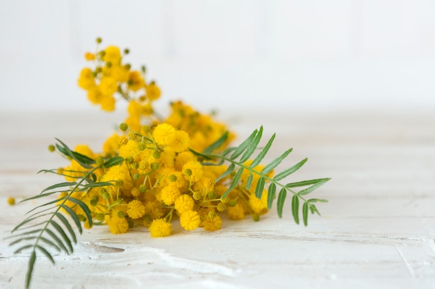 흰색 표면에 예쁜 노란 꽃의 근접 촬영