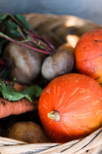 Close-up pumpkins and  basket with pumpkins carrots and radishes in a basket