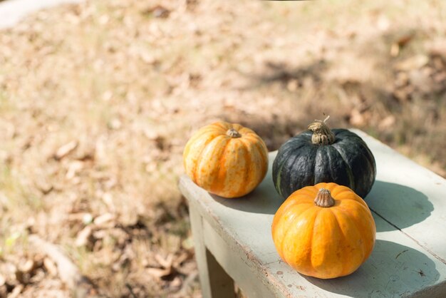 Close-up of pumpkins on the table