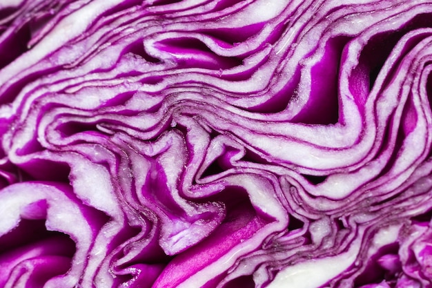 Крупный план фиолетовой капусты