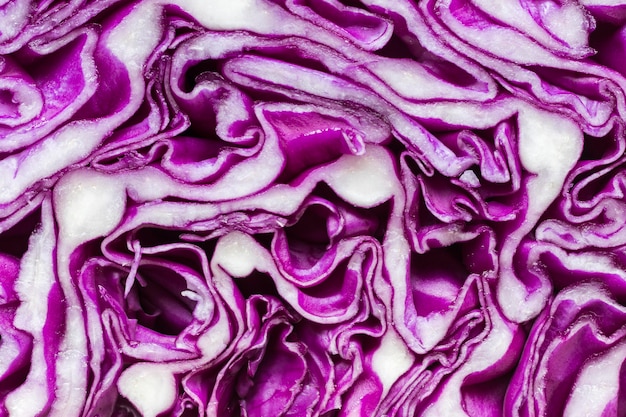 Close-up of purple cabbage