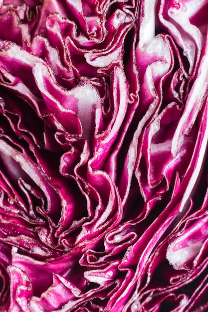 Close-up of purple cabbage