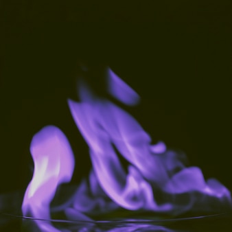 Close-up of purple flames on black backdrop