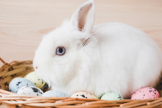 Close-up rabbit in basket with eggs