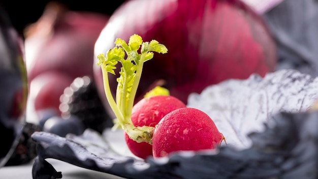 Close-up of radish on cabbage leaf with onions