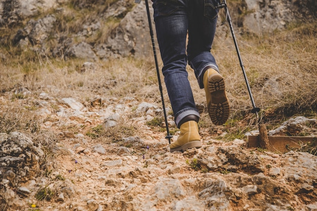 Close-up of rambler walking