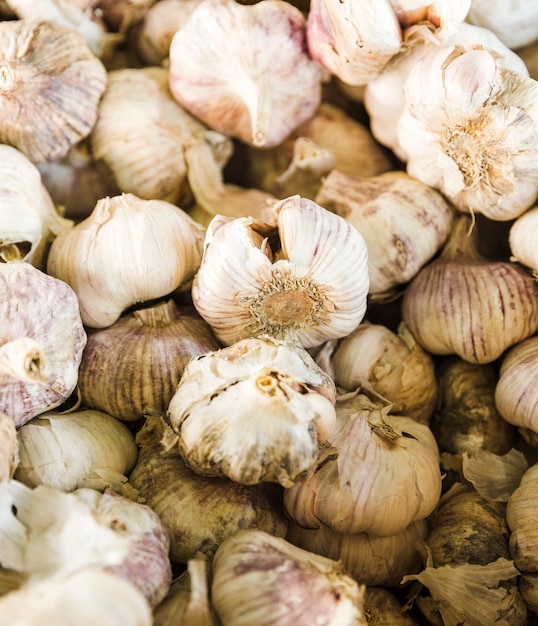 Close-up of raw organic fresh garlic