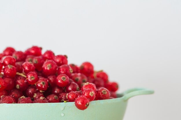 Close-up of red currants in the container against white backdrop