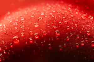 Foto gratuita close-up di petalo di fiore rosso con gocce d'acqua