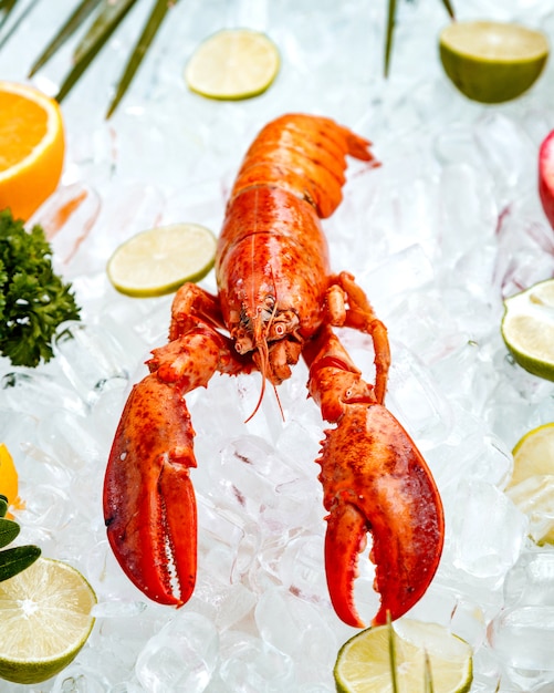 Close up of red lobster placed on ice surrounded with fruit slices