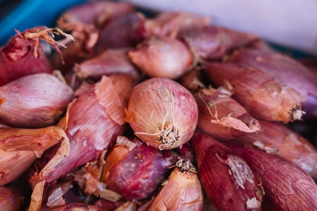 Close-up of red onions in crate