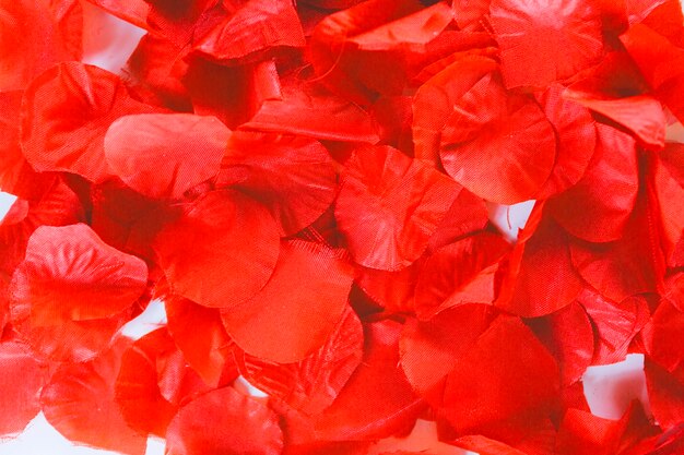 Close-up red petals