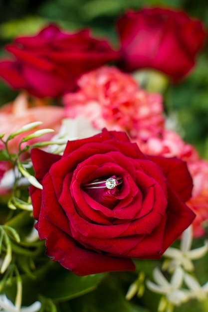 Free photo close-up red rose petals outdoor