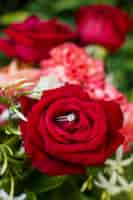 Free photo close-up red rose petals outdoor