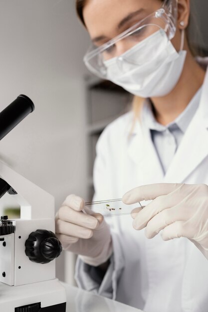 Close up researcher holding slide glass